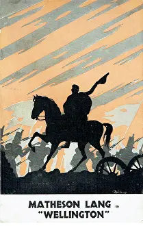 Matheson: Wellington by Robins Millar