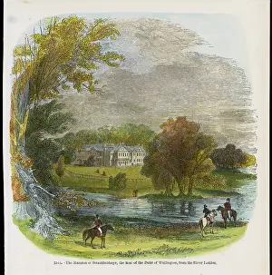 Strathfieldsy: WELLINGTON/STRATHFIELDSY