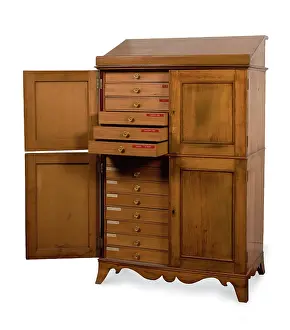 Ulmus: The Wellington Tree Cupboard