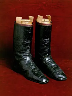 Wellingtons: Wellington's boots