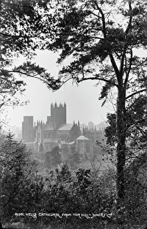 Wells Cathedral from Tor Hill