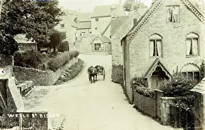 Bisley: Wells Road