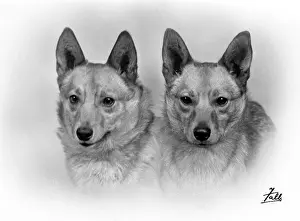 Thomas Fall: TWO WELSH CORGIS/1938