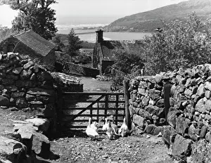WELSH FARMSTEAD