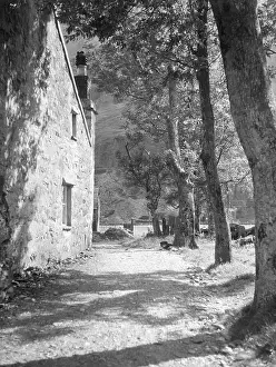 Llanberis: WELSH FARMYARD