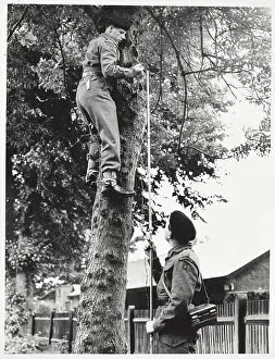 Operator: Welsh Guards
