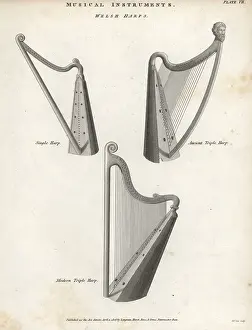 Longman: Welsh harps