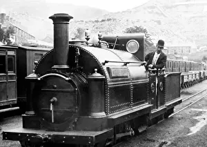 Ffestiniog: Welsh Pony, Ffestiniog Railway, Wales, Victorian period