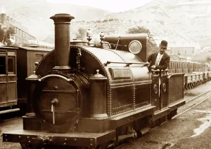Ffestiniog: Welsh Pony, Ffestiniog Railway, Wales, Victorian period