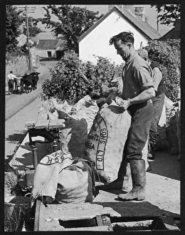Wellies: WELSH POTATO SACKS