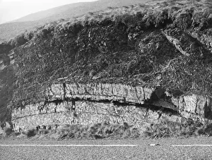 Cardiganshire: WELSH ROCK FORMATION