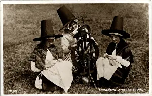 Spinsters: Welsh spinsters