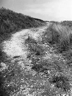 Cefn: WELSH TRACKWAY