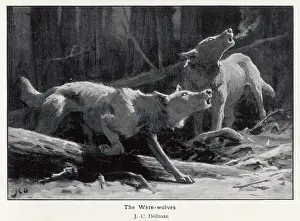 Howl: TWO WEREWOLVES