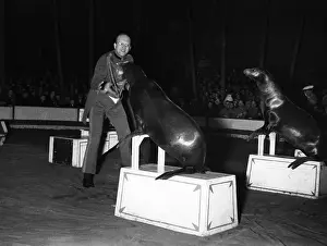 Finck: Werner Finck