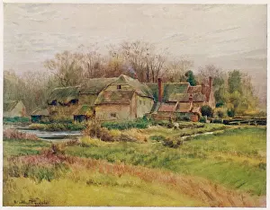 Proposes: Wessex - Bindon Abbey Mill