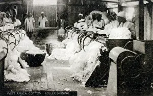 Fibres: West Africa - roller ginning process for cotton