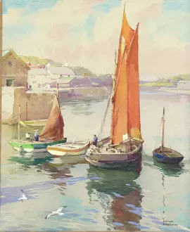 Seagulls: West Country Harbour