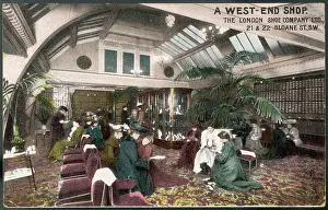 Plush: WEST END SHOE SHOP