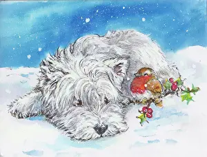 Matthes: West Highland Terrier and robin in the snow