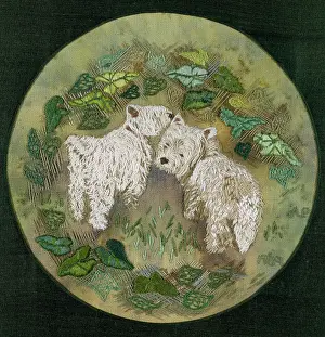 Pilcher: West Highland White Terriers