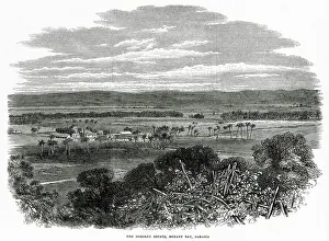 Morant: WEST INDIES/JAMAICA