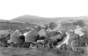 Lulworth: West Lulworth, the Village 1904