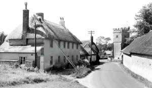 Thatching: West Stafford, Thatching c1960