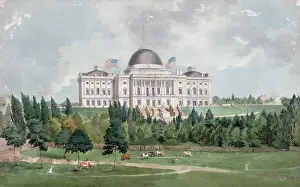 Valor: West front of the United States Capitol with cows in the for