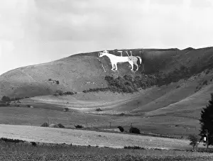 Westbury: WESTBURY WHITE HORSE