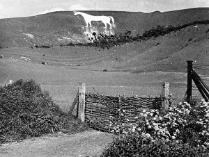 Westbury: WESTBURY WHITE HORSE