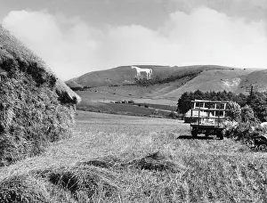 Westbury: WESTBURY WHITE HORSE