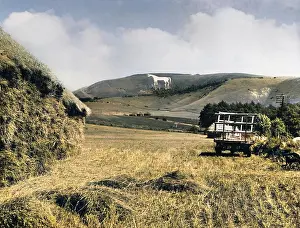 Westbury: WESTBURY WHITE HORSE