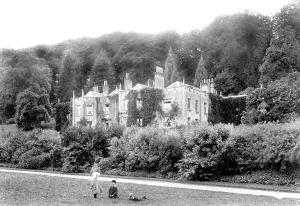 Rookery: Westcott, the Rookery 1904