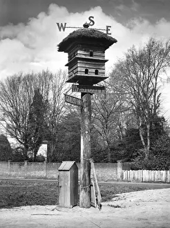 Weathervane: WESTCOTT WEATHERVANE