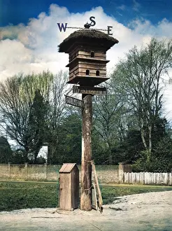 Barnaby (colourised): WESTCOTT WEATHERVANE