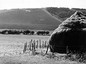 Asser: WESTDEAN WHITE HORSE