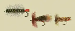 Atherton: Western American Flies