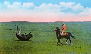 Lariat: Western Canada - Cowboy roping a steer