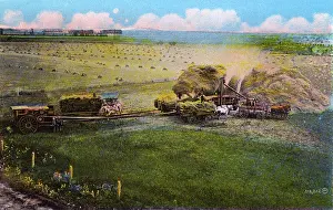Thresher: Western Canada - Threshing Scene