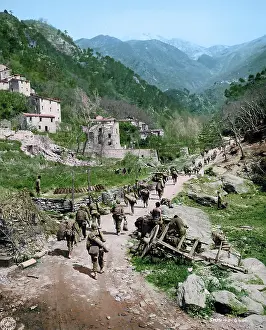 Get This Story Ltd: Western Front Colours
