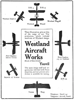 Petters: Westland Aircraft Works. Model Range. (Petters Ltd)