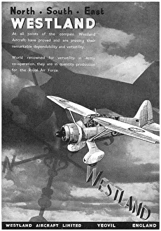 Lysander: Westland Lysander