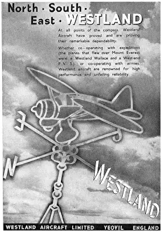 Lysander: Westland Lysander