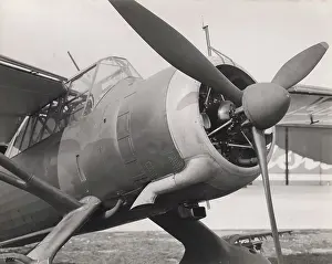 Lysander: Westland Lysander