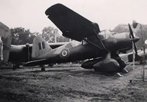 Lysander: Westland Lysander III