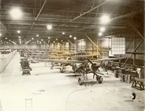 Lysander: Westland Lysander production