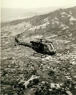 Westland Scout AH1