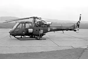 Wallop: Westland Scout AH.1 XP857