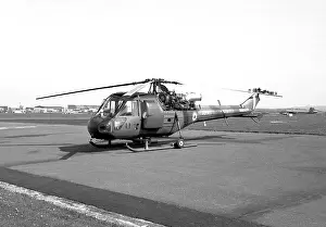 Mawgan: Westland Scout AH.1 XT617